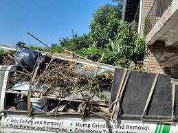 Best Moving and Downsizing Cleanouts  in Hoopers Creek, NC